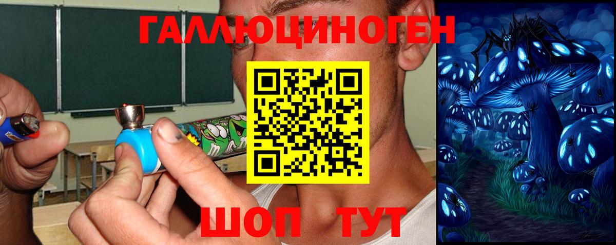 Серов  Псилоцибиновые грибы MAGIC MUSHROOMS  где купить наркоту  Вход с VPN 