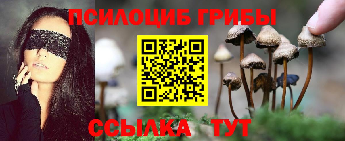 Псилоцибиновые грибы Magic Shrooms Серов